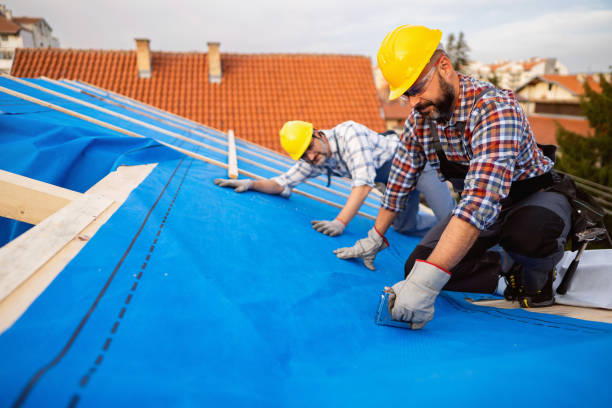Best Storm Damage Roof Repair  in Petersburg, IL