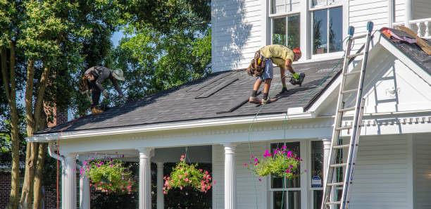 Best Roof Gutter Cleaning  in Petersburg, IL