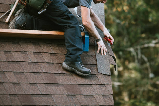 Best Roof Maintenance Services  in Petersburg, IL